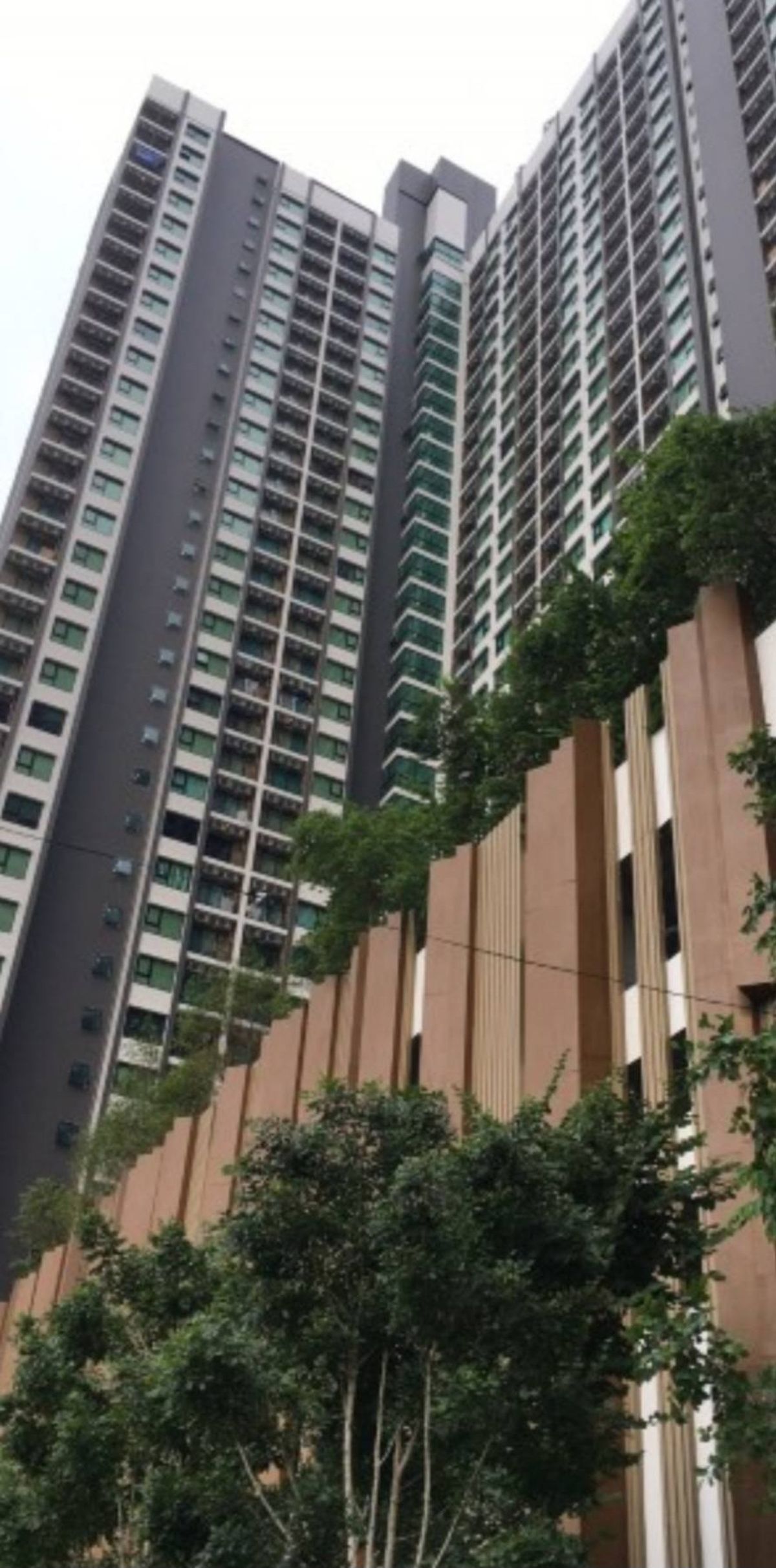 Condo for rent, Kensington, Sukhumvit-Thepharak, BTS BTS Tippawan Station, price 5,500 baht/month 1, bedroom, 21st floor