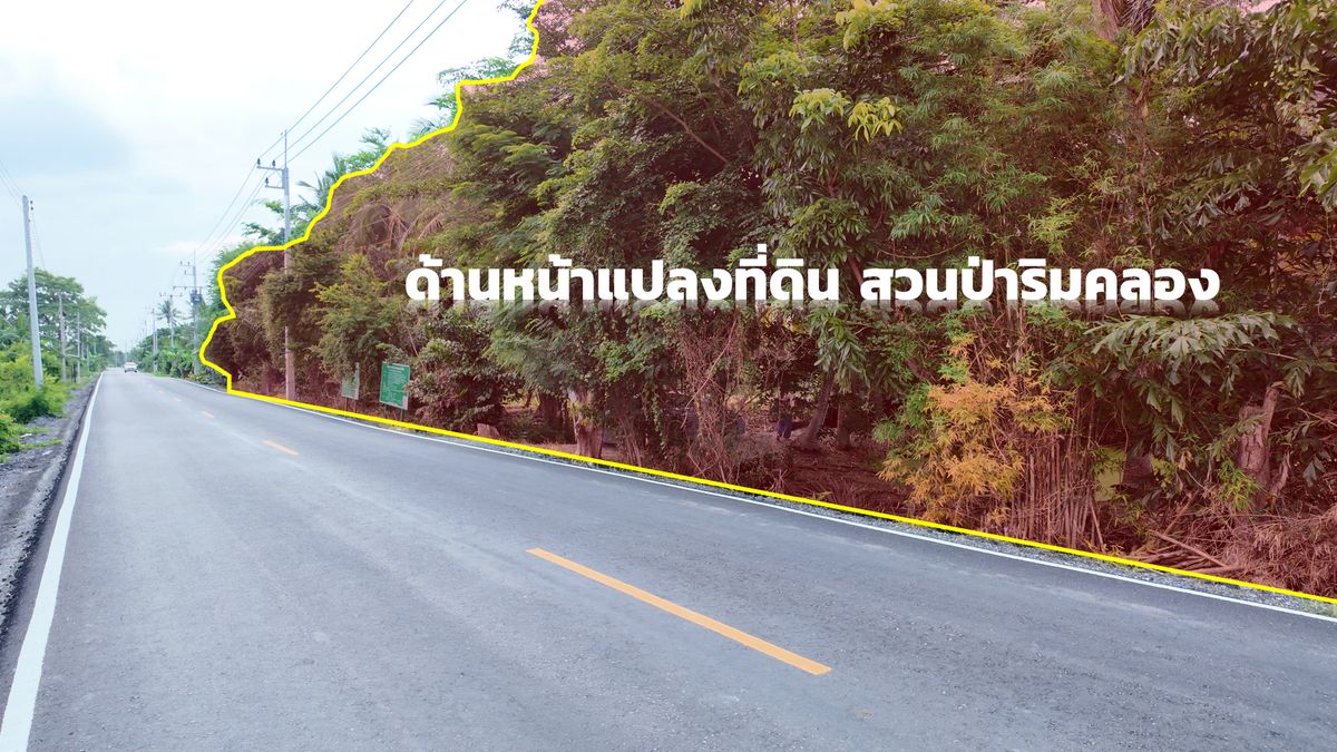 Selling a forest plantation along the Saen Saep canal 9 rai 54 sq.w. sells only 9.5 million baht, Bang Nam Priao, Chachoengsao – รูปที่ 3
