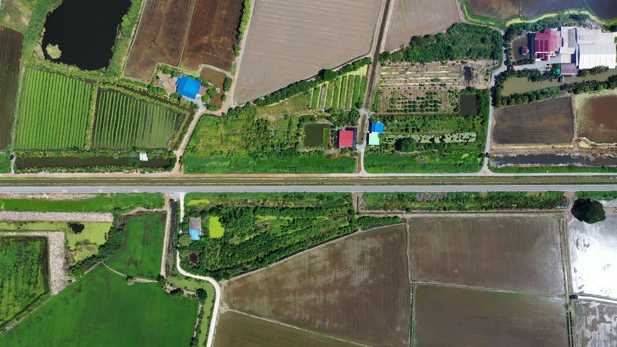 Land for sale in Bang Pla, Bang Len District, Nakhon Pathom Province. Currently, the price is negotiable. – รูปที่ 4