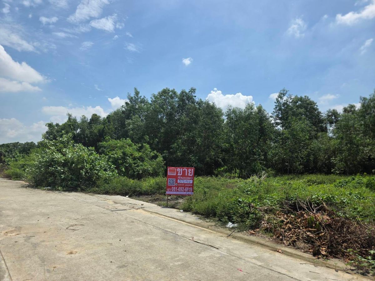 ให้เช่า หรือ ขาย ที่ดินเปล่า 371 ตร.ว.ในโครงการ fc factory 2 สร้างโรงงาน ลาดหลุมแก้ว ปทุมธานี ถมแล้ว – รูปที่ 3