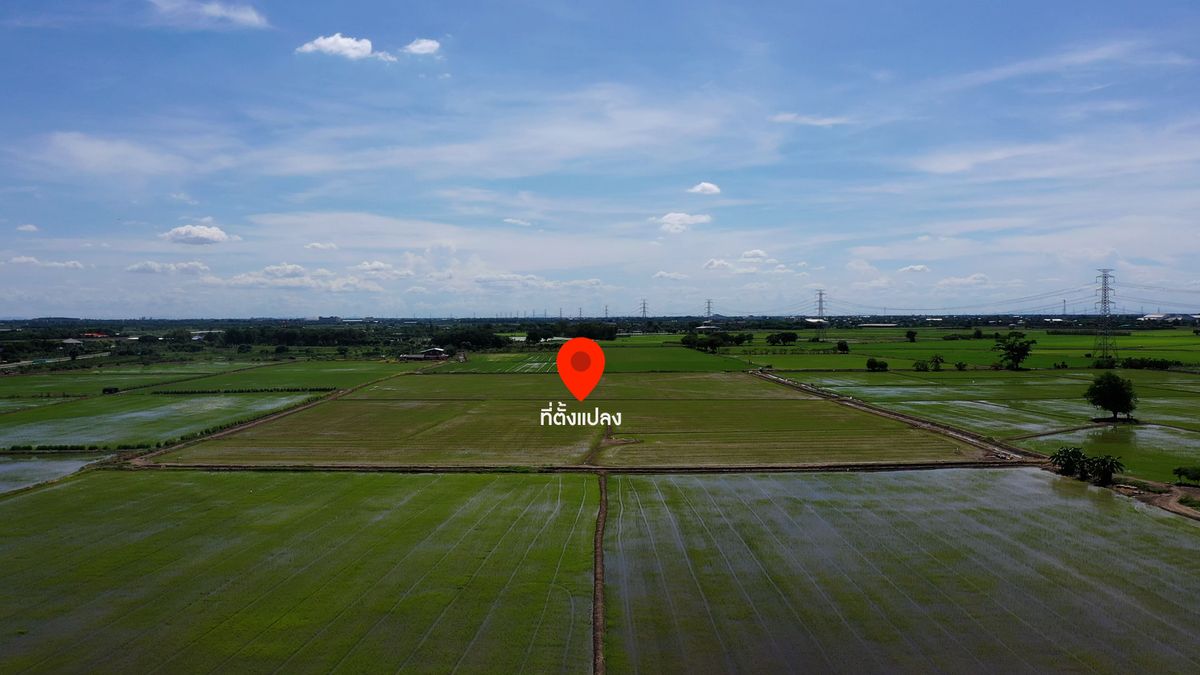 Land for sale in Bang Pla, Bang Len District, Nakhon Pathom Province. Currently, the price is negotiable. – รูปที่ 2