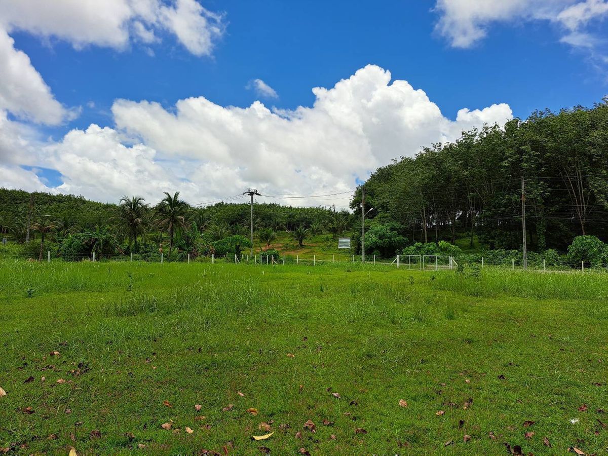 Beautiful land for sale in Phuket, 1 rai 3 ngan 63.2 sq m. Whole plot for sale, Thalang District, Phuket Province, near Thepkrasattri Road, near Lotus Thalang, green zone area. Om Lom mountain view, suitable for making a pool villa, luxury accommodation, Beautiful land for sale in Phuket, 1 rai 3 ngan 63.2 sq m. Whole plot for sale, Thalang District, Phuket Province, near Thepkrasattri Road, near Lotus Thalang, green zone area. Om Lom mountain view, suitable for making a pool villa, luxury accommodation,