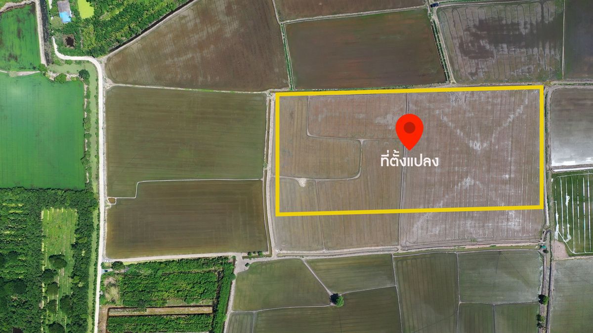 Land for sale in Bang Pla, Bang Len District, Nakhon Pathom Province. Currently, the price is negotiable. – รูปที่ 3