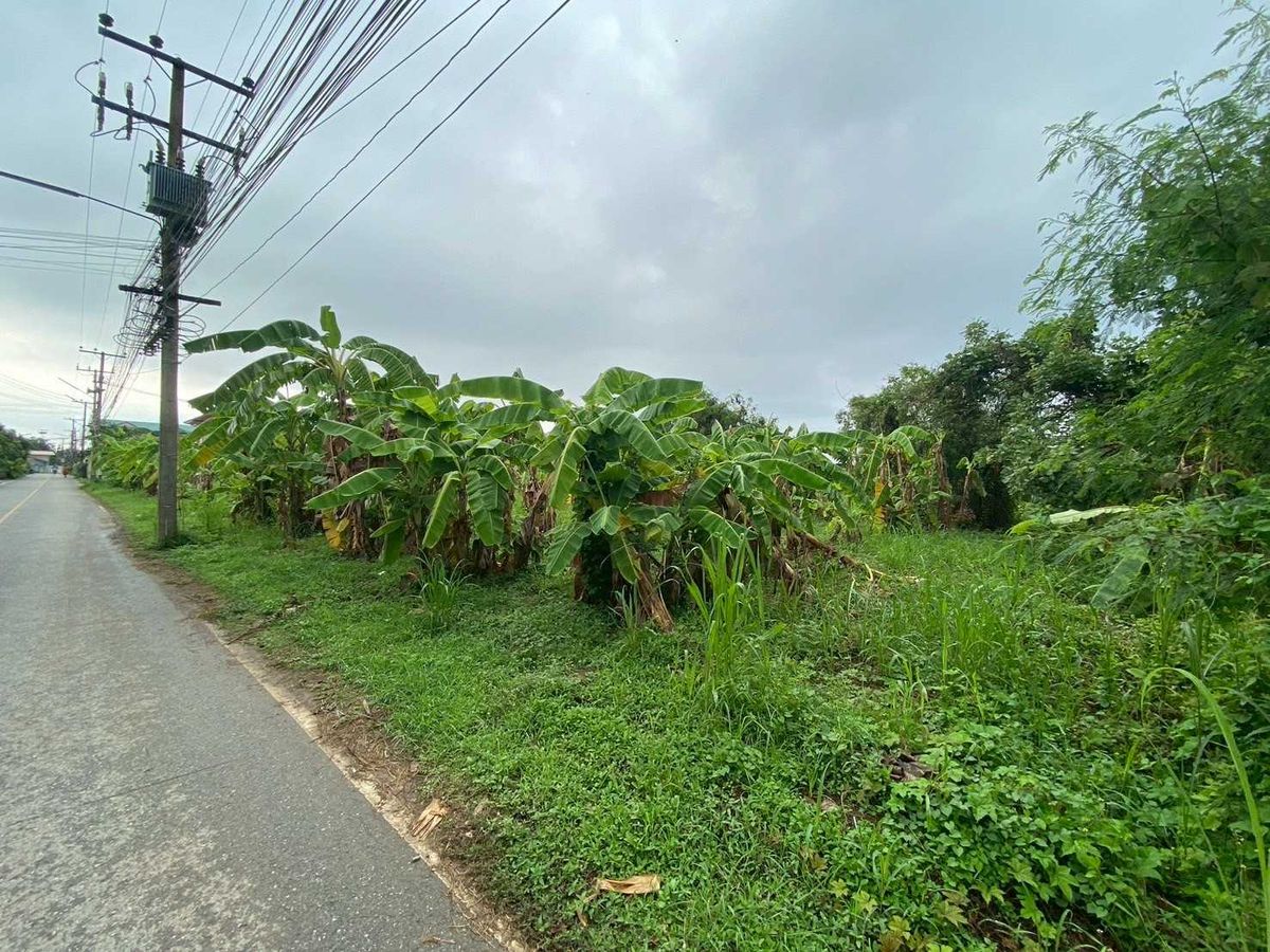 Vacant Land for Sale Behind Saphan 3 School, 298 sq.w. Phitsanulok Province – รูปที่ 3