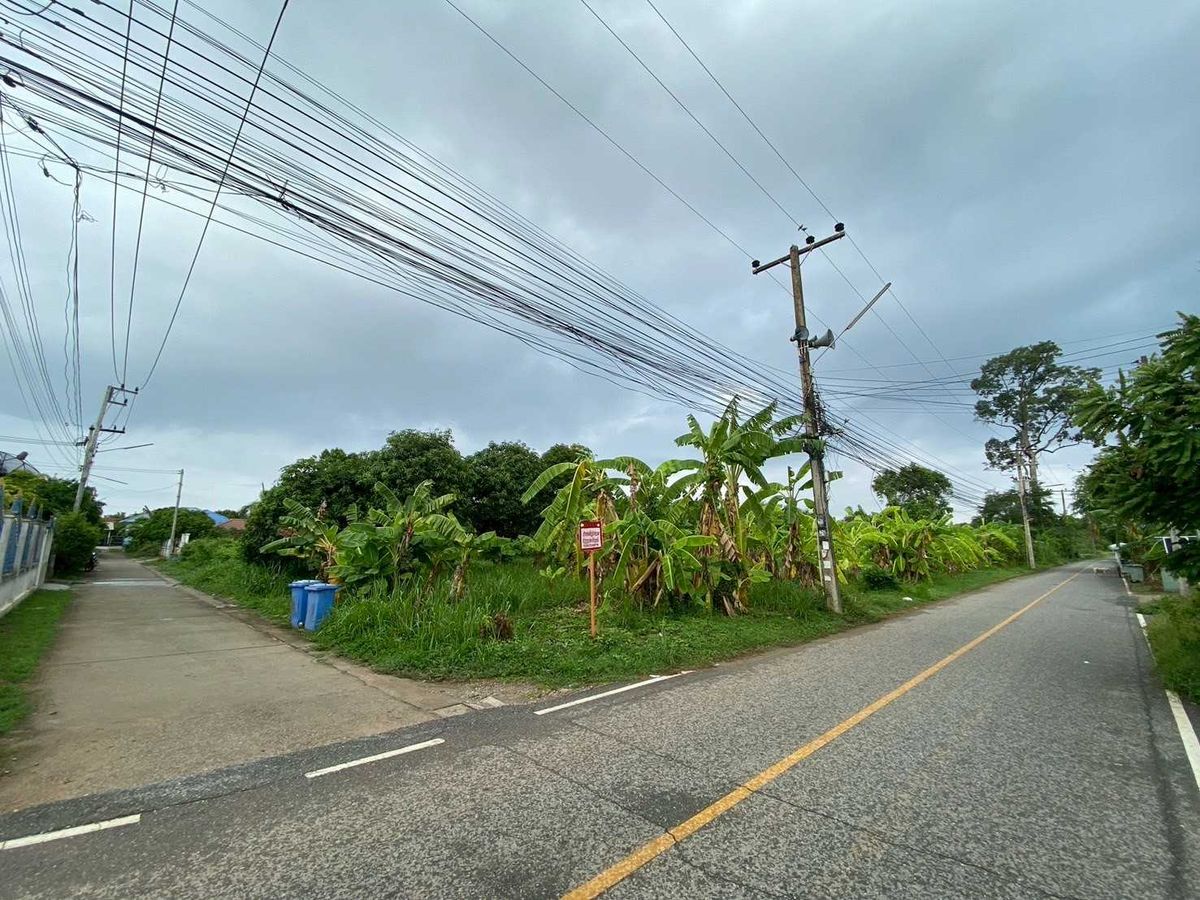 Vacant Land for Sale Behind Saphan 3 School, 298 sq.w. Phitsanulok Province – รูปที่ 2