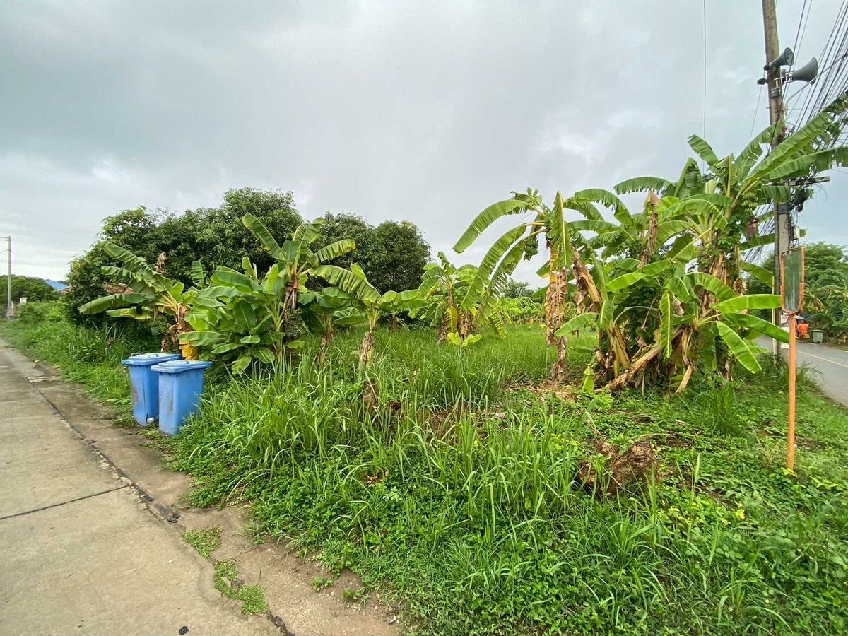 Vacant Land for Sale Behind Saphan 3 School, 298 sq.w. Phitsanulok Province – รูปที่ 4