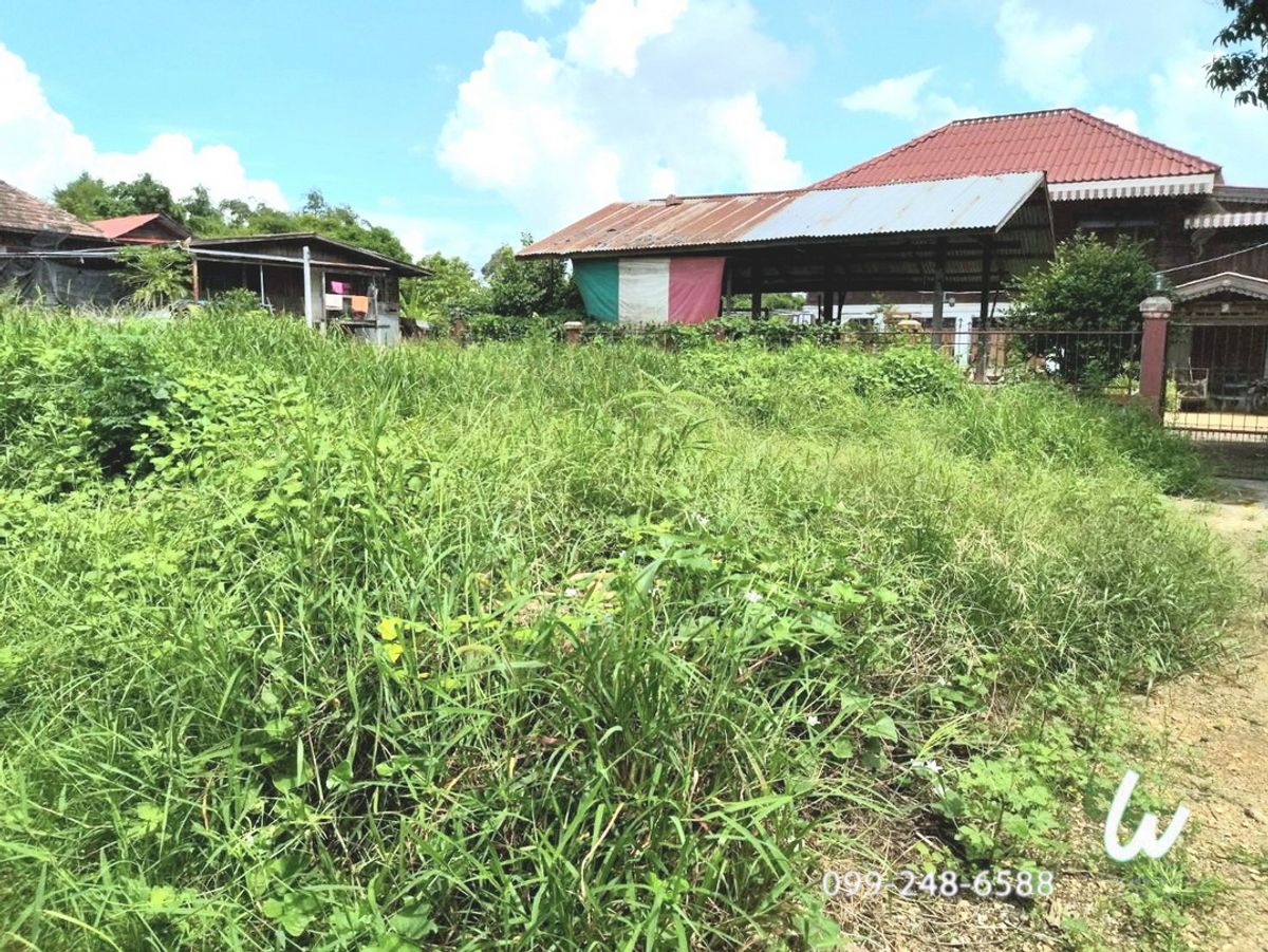 ขายที่ดิน ท่าวุ้ง ลพบุรี 40 ตรว. เหมาะเป็นที่พักอาศัย ขายที่ดิน ท่าวุ้ง ลพบุรี 40 ตรว. เหมาะเป็นที่พักอาศัย
