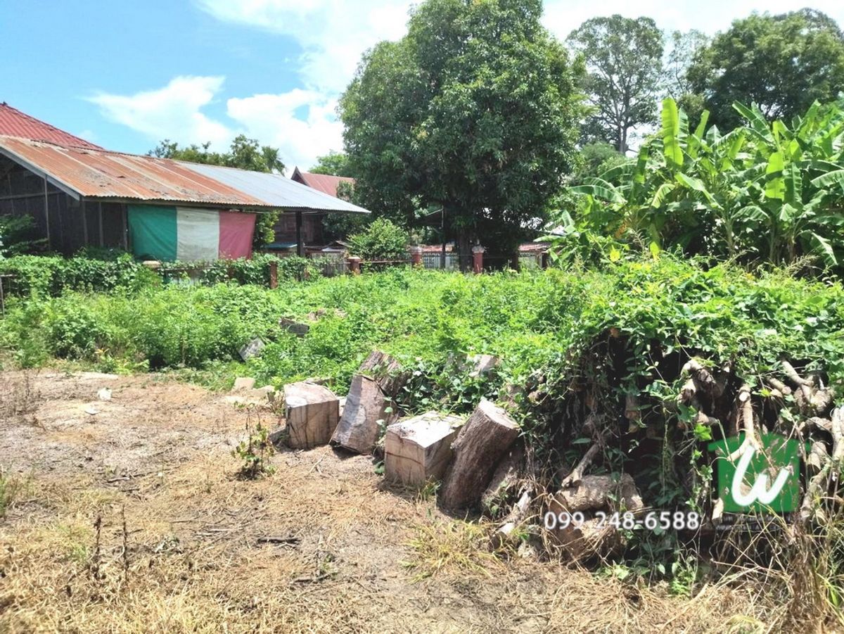 Land for sale in Lop Buri 40 Sq. Suitable as a residence. – รูปที่ 2