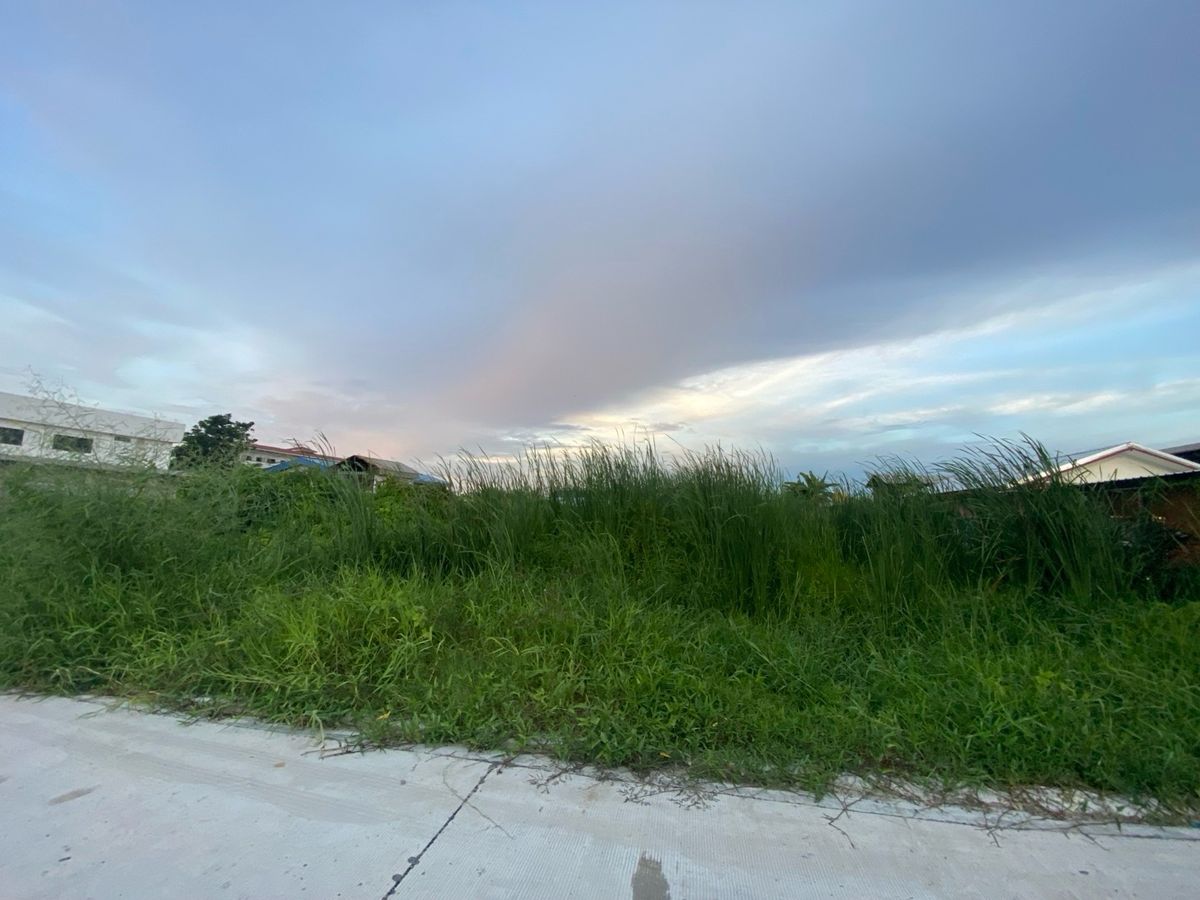 ให้เช่าที่ดิน ใกล้สนามบินสุวรรณภูมิ, กำลังจะถมที่ดิน ให้เช่าที่ดิน ใกล้สนามบินสุวรรณภูมิ, กำลังจะถมที่ดิน