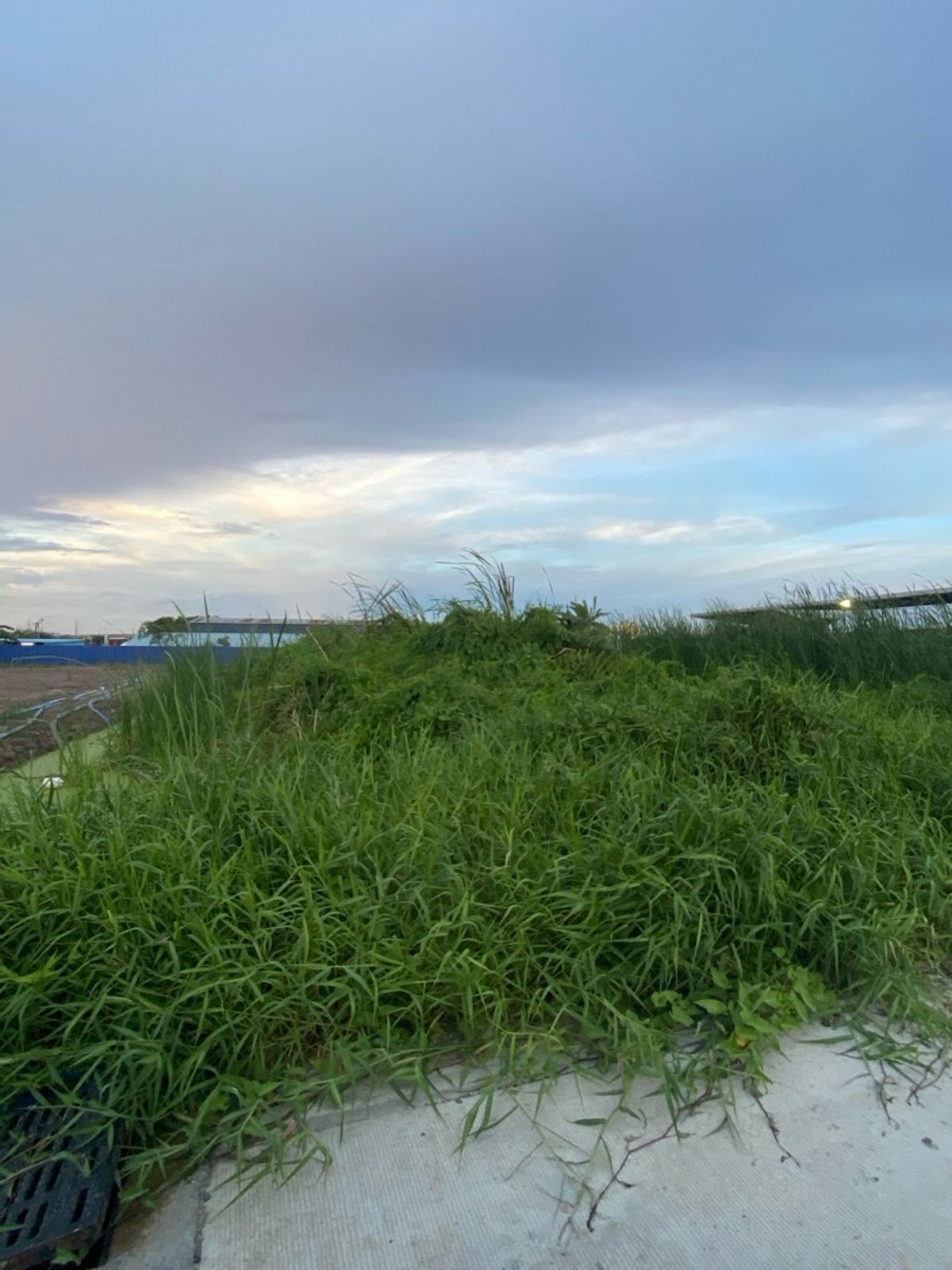ให้เช่าที่ดิน ใกล้สนามบินสุวรรณภูมิ, กำลังจะถมที่ดิน – รูปที่ 4