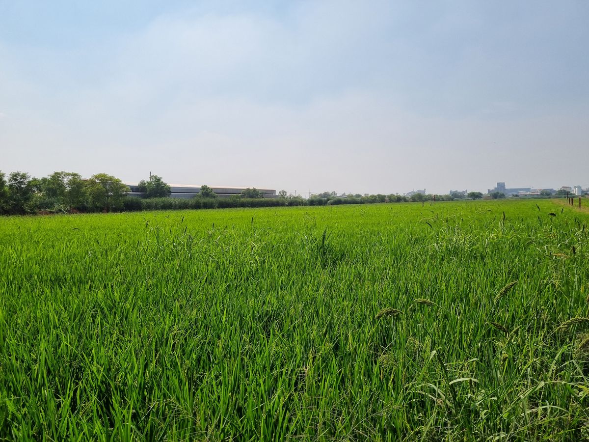 Land for sale 14 rai, Pathum Thani, Khlong Nueng, Khlong Luang, Golden location, near Thai Mega Home Market and Phatra-Thonburi Hospital – รูปที่ 4