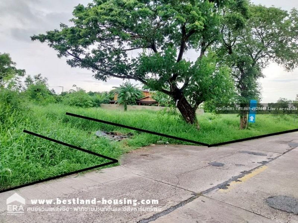 ขาย ที่ดิน 138 ตรว. ซ.ไมตรีจิต2 ซอยเดียวกับ ส.น.นิมิตใหม่ เข้าซอยเพียง 200 เมตร ใกล้โรงพยาบาลคลองสามวา ใกล้ถนนนิมิตใหม่ 400 เมตร – รูปที่ 3