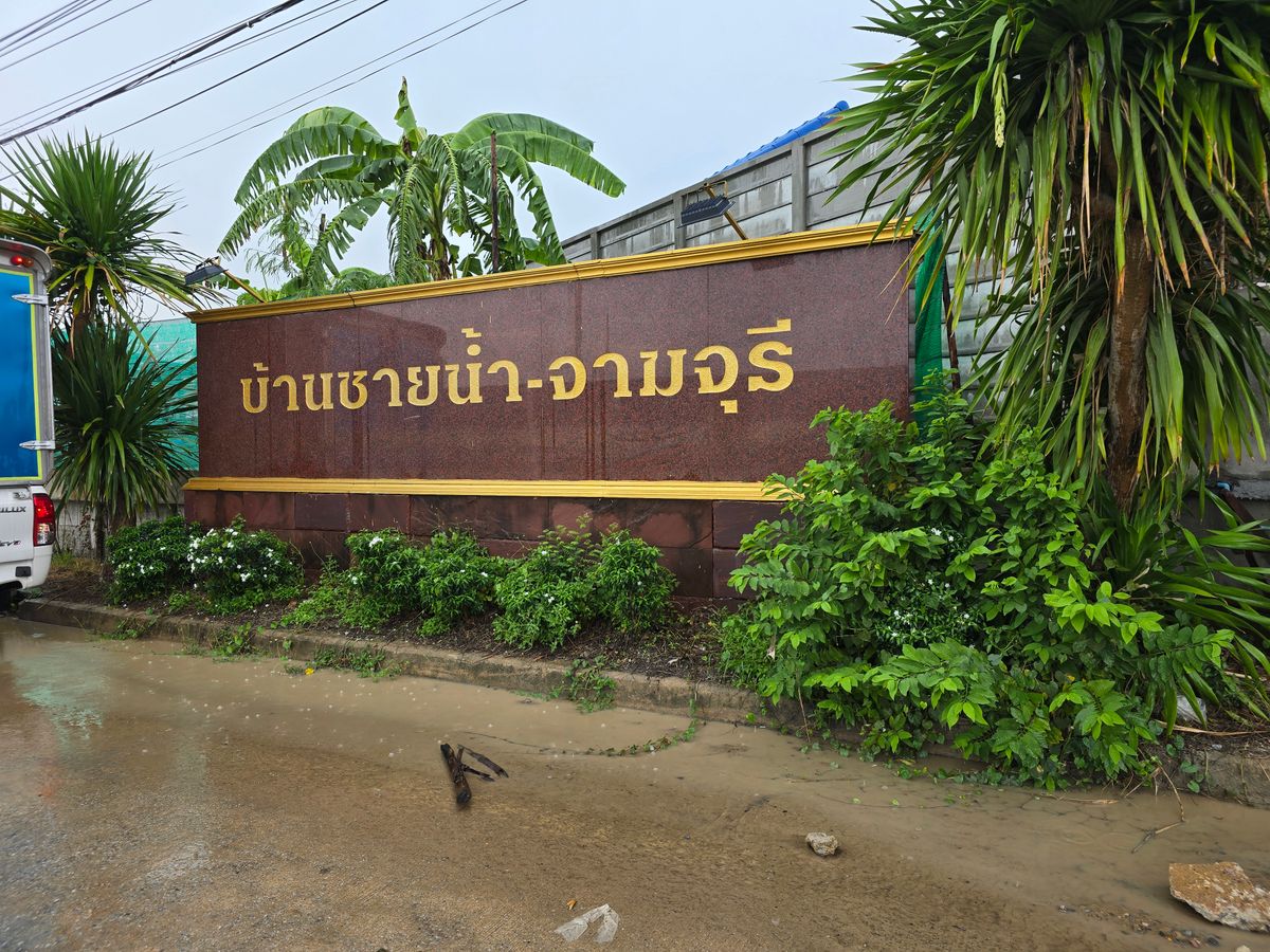 ขายตามสภาพ...หมู่บ้านชายน้ำ จามจุรี ตึกแถว 3 ชั้น 2 ห้อง เนื้อที่รวม 41 ตรว. ต้องรีโนเวทใหม่ ขายตามสภาพ...หมู่บ้านชายน้ำ จามจุรี ตึกแถว 3 ชั้น 2 ห้อง เนื้อที่รวม 41 ตรว. ต้องรีโนเวทใหม่