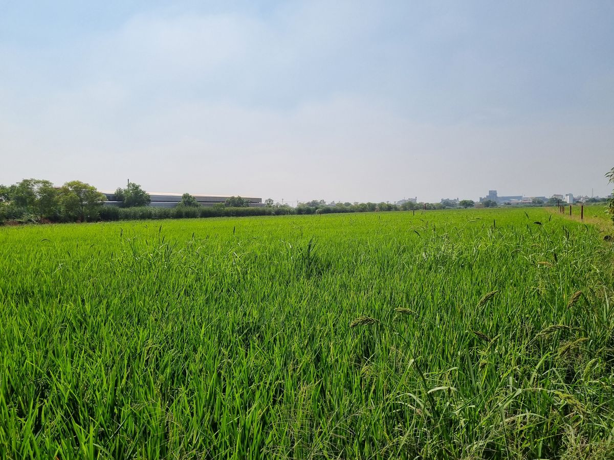 Land for sale 14 rai, Pathum Thani, Khlong Nueng, Khlong Luang, Golden location, near Thai Mega Home Market and Phatra-Thonburi Hospital – รูปที่ 2