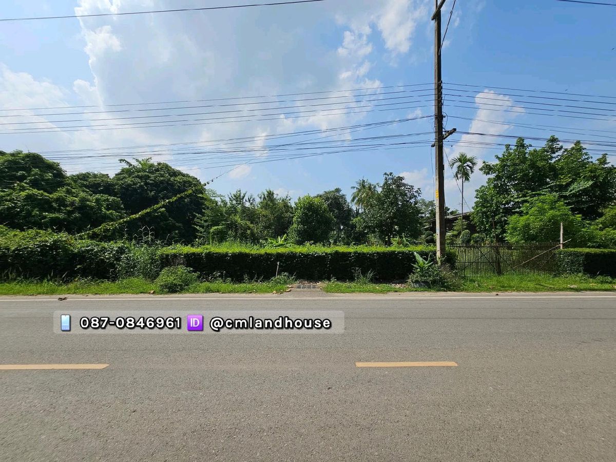 ที่ดิน 200 ตรว. ใกล้ไปรษณีย์แม่โจ้ ติดถนนสัญจรกว้างมาก เหมาะทำหอพัก ร้านอาหาร ร้านกาแฟ ค้าขาย บ้านพัก มีรถประจำทางผ่าน – รูปที่ 2