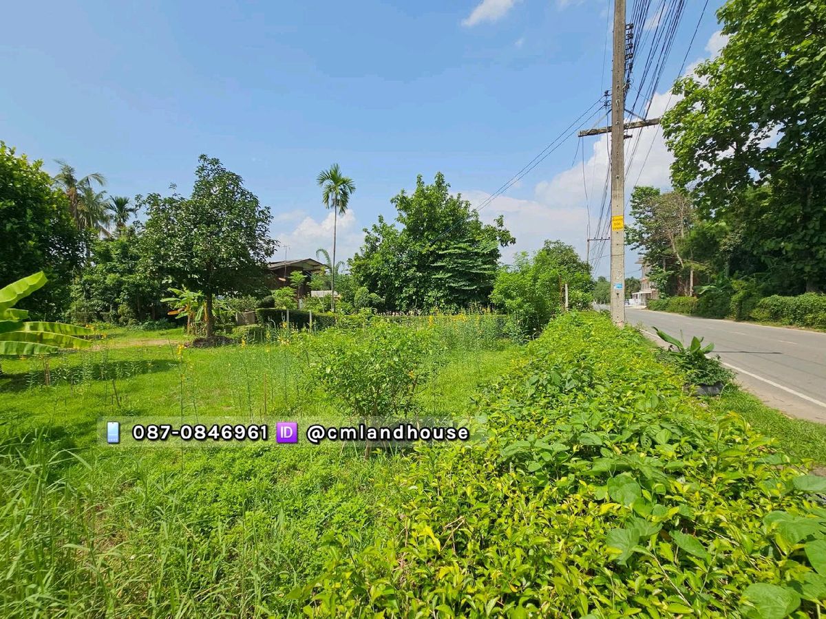 ที่ดิน 200 ตรว. ใกล้ไปรษณีย์แม่โจ้ ติดถนนสัญจรกว้างมาก เหมาะทำหอพัก ร้านอาหาร ร้านกาแฟ ค้าขาย บ้านพัก มีรถประจำทางผ่าน – รูปที่ 4