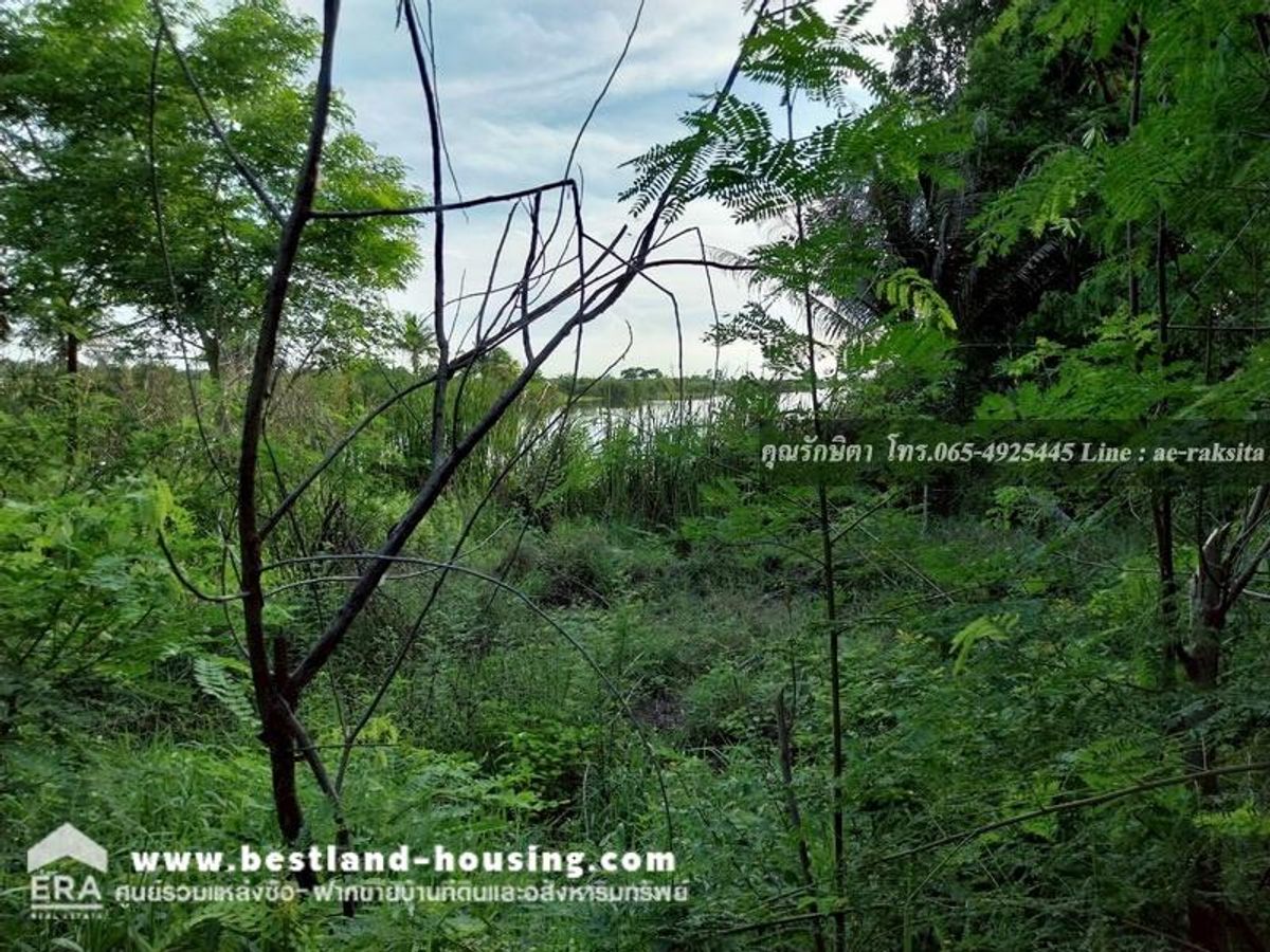 Land for sale 8-2-1 rai, Don Chimplee Subdistrict, Bang Nam Priao District, Chachoengsao Province, near Nong Chok, the land is water. – รูปที่ 2