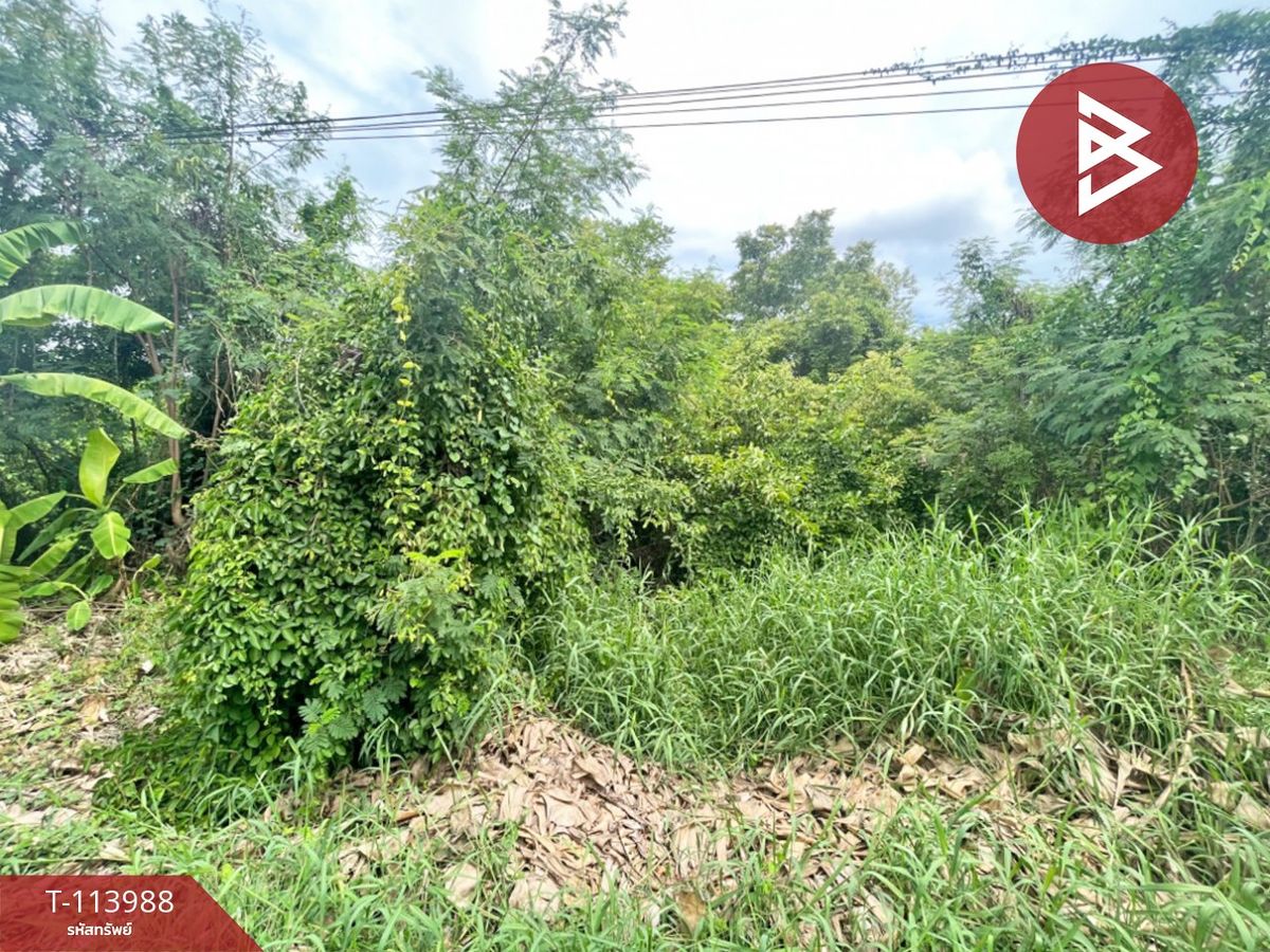 Land for sale in an area of ​​1 rai 57.9 sq.wah, Bang Nam fresh, Samut Sakhon – รูปที่ 3