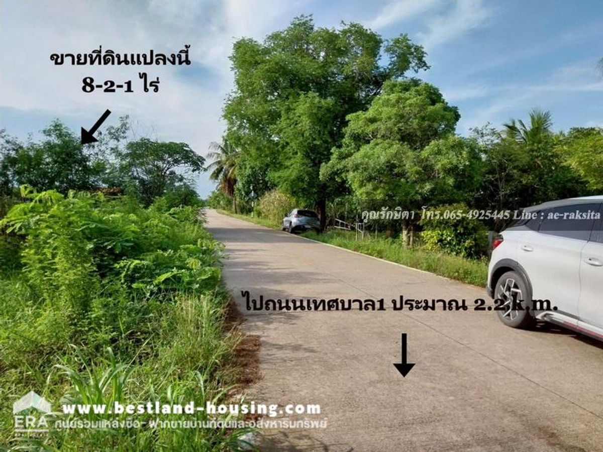 Land for sale 8-2-1 rai, Don Chimplee Subdistrict, Bang Nam Priao District, Chachoengsao Province, near Nong Chok, the land is water. – รูปที่ 4