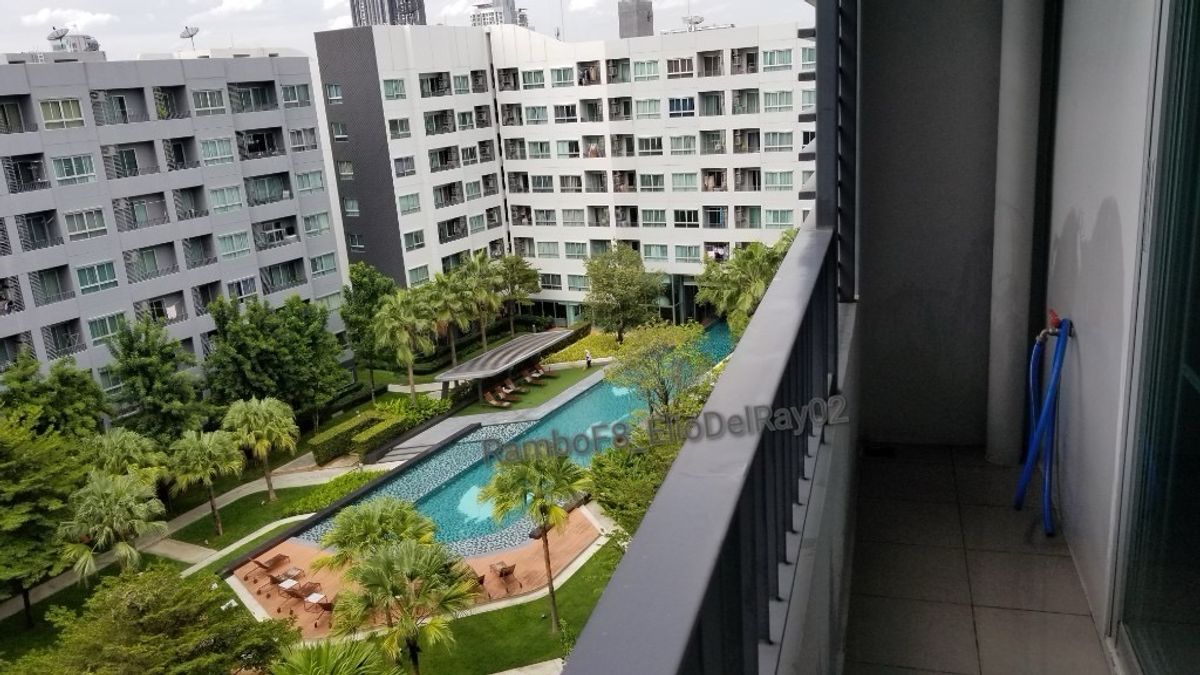 Selling lower than capital  selling himself, Elio Del Ray, 8th floor, pool view