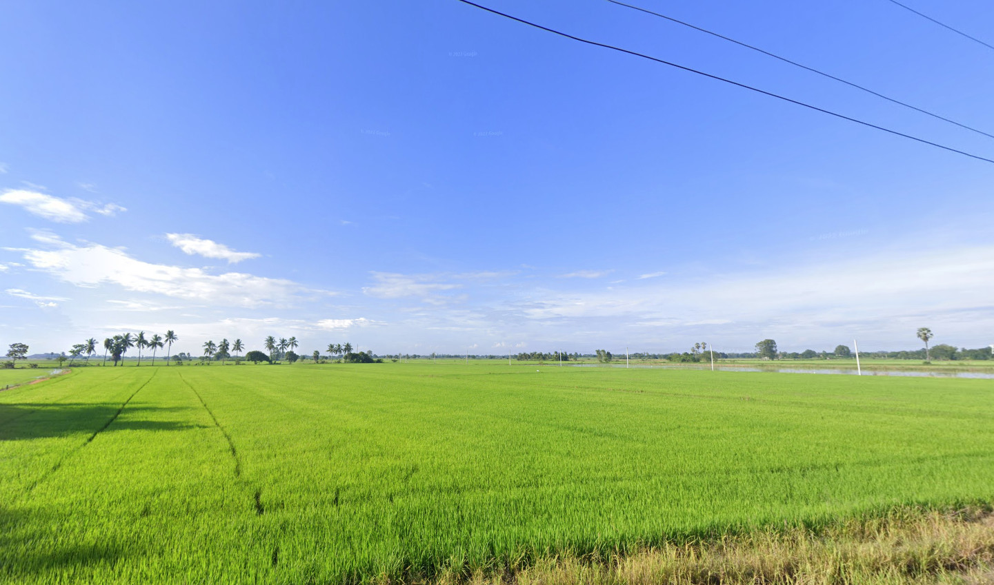 Land for sale – รูปที่ 2