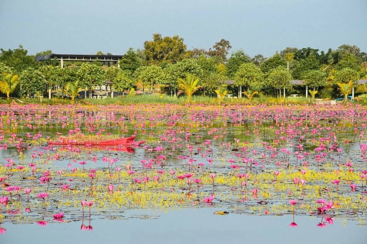  ♦ Spacious Land ♦ ขนาดที่ดิน 103 ไร่ 41,200.00 ตร.ว. | พัฒนาถมที่ ตัดถนน ขุดบ่อน้ำ มีไฟฟ้า – รูปที่ 3