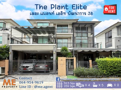 ให้เช่าด่วน! บ้านเดี่ยวหลังใหญ่ เดอะ แพลนท์ เอลิท พัฒนาการ 38 4 นอน 5 น้ำ+ห้องแม่บ้าน เฟอร์ครบ ทำเลดี เดินทางสะดวก ใกล้ เอกมัย - ทองหล่อ - สุขุมวิท โทร 064-954-9619 (RBL12-52)