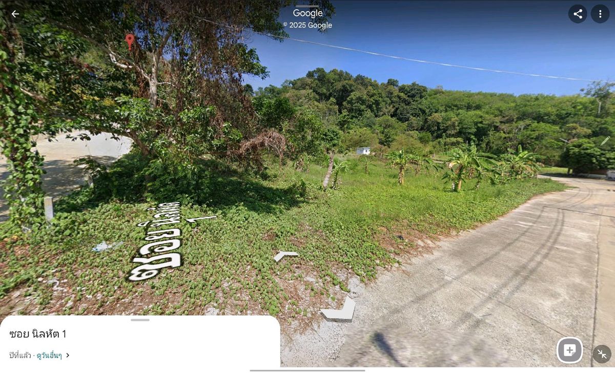 ด่วน!!ขาย !!! ที่ดิน เกาะสิเหร่ ใกล้ท่าเรือ 1.3 กม. – รูปที่ 3
