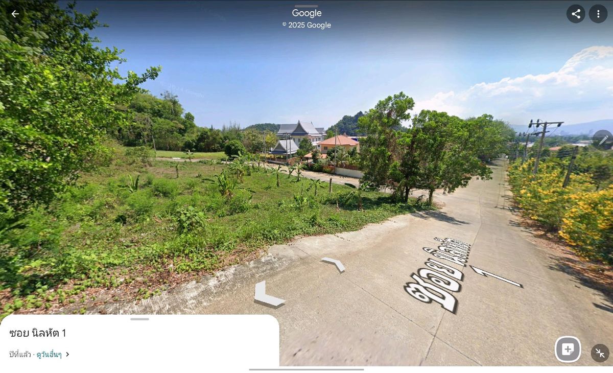 ด่วน!!ขาย !!! ที่ดิน เกาะสิเหร่ ใกล้ท่าเรือ 1.3 กม. – รูปที่ 4