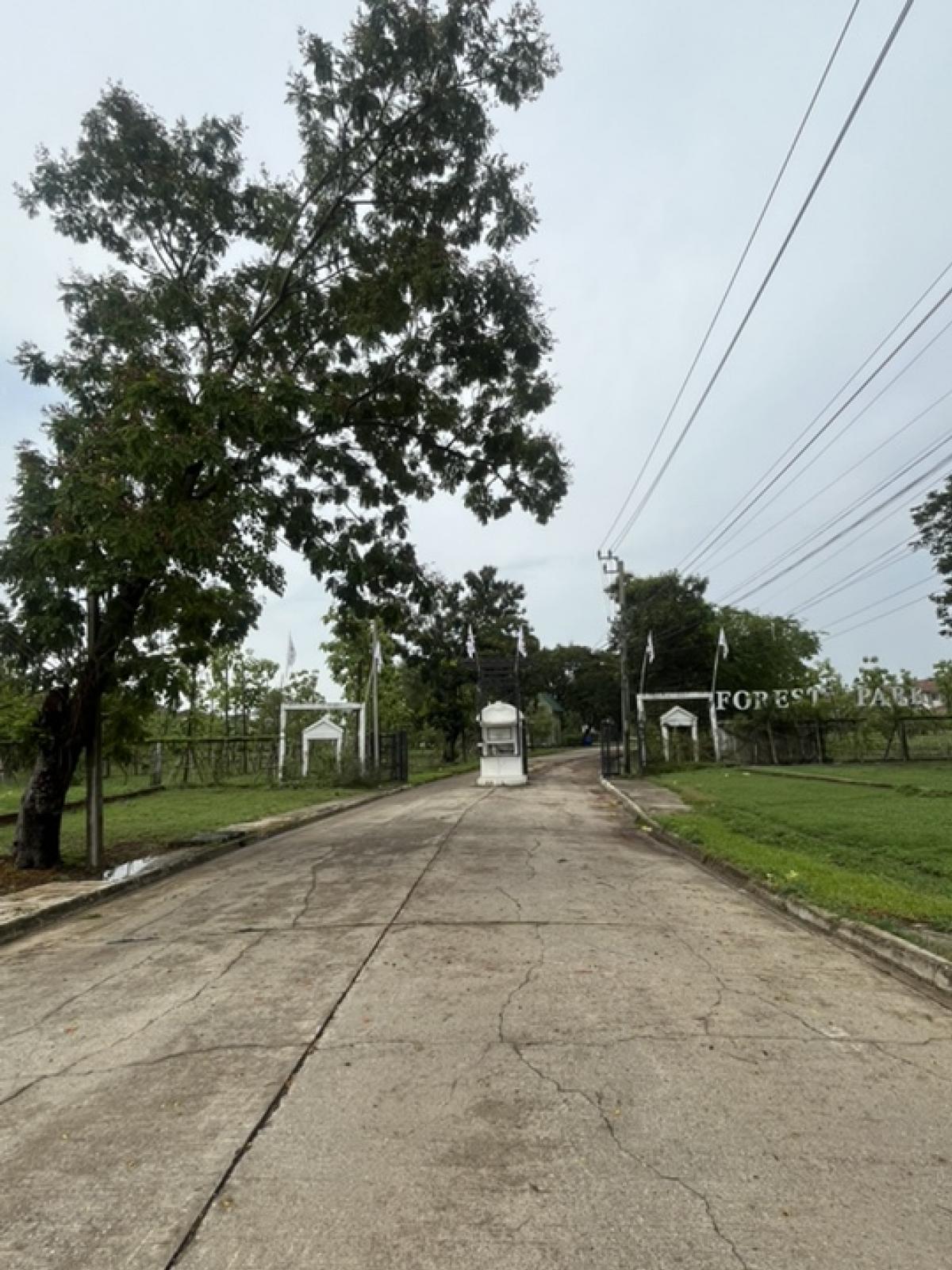ขายที่ดินเปล่า 110ตรว – รูปที่ 4