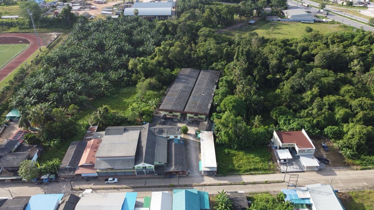 Land for sale, good location with 5 rai of buildings, almost on Petchkasem Road Near educational institutions Khun Krating Community, Tak Daeng Subdistrict, Mueang District, Chumphon Province, only 9 minutes into the city – รูปที่ 4