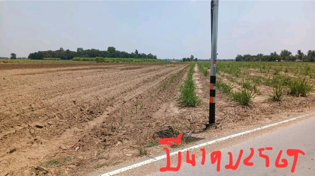 Land for sale 39 rai 84 sq.w., next to the Tubble Road, Khlong Irrigation, Nong Krathum, Kamphaeng Saen – รูปที่ 3