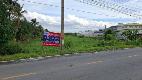 ขายด่วน ที่ดินใกล้ห้างเซ็นทรัล ทางด่วน