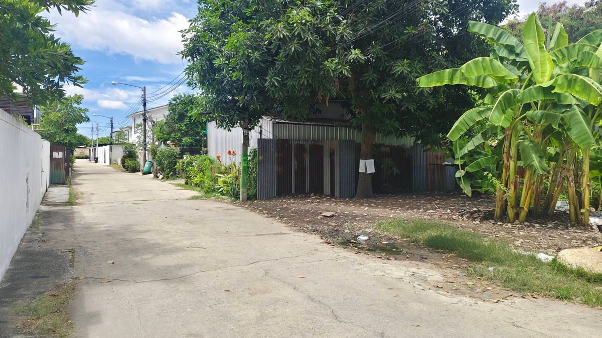 ที่ดิน 97 ตรว. บางแค ซอย10 – รูปที่ 3