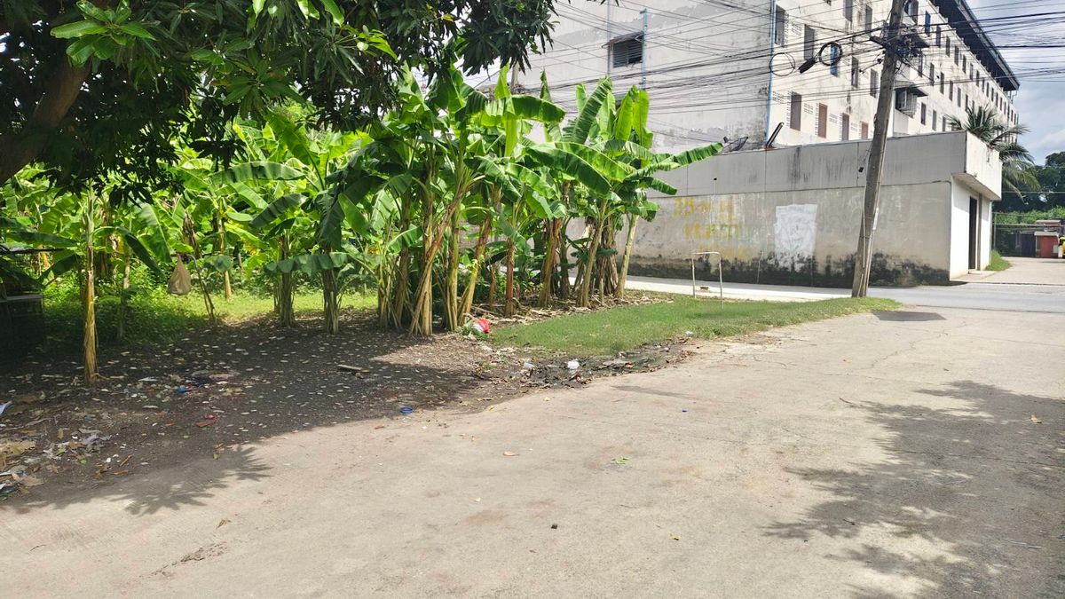Land 97 Sq. Bang Khae Soi 10 Land 97 Sq. Bang Khae Soi 10