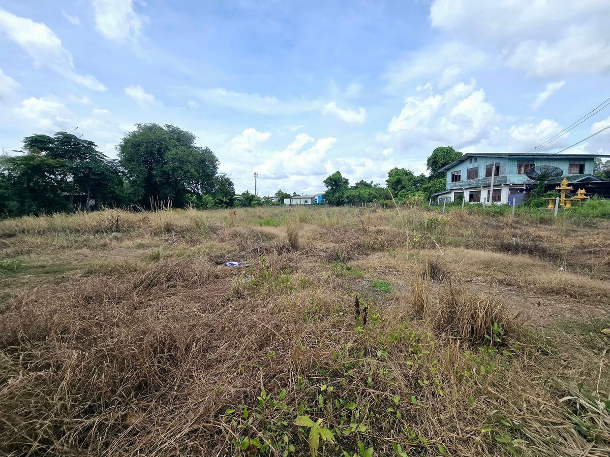Land for rent, size 1 rai. Land reclamation. Tha Tum Subdistrict, Si Maha Phot District Prachinburi Province Land for rent, size 1 rai. Land reclamation. Tha Tum Subdistrict, Si Maha Phot District Prachinburi Province