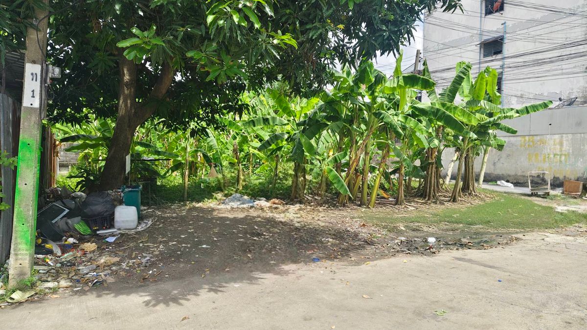 ที่ดิน 97 ตรว. บางแค ซอย10 – รูปที่ 2