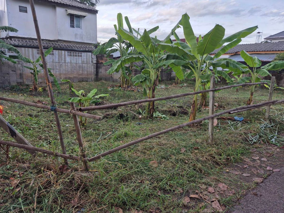 Call : 096-995-9516 Land for sale 70 sq.wa, Soi Mahachok 13, Thanon Chotana 22, Pa Tan, Mueang Chiang Mai Call : 096-995-9516 Land for sale 70 sq.wa, Soi Mahachok 13, Thanon Chotana 22, Pa Tan, Mueang Chiang Mai