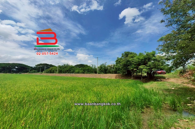 ที่ดินเปล่า ถนนเลียบคลองหางบางศาลา เนื้อที่ 11-1-27.7 ไร่ ใกล้วัดชัยสิทธาราม ตำบลจรเข้ร้อง อำเภอไชโย จังหวัดอ่างทอง – รูปที่ 4