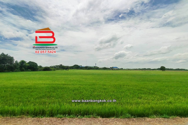 ที่ดินเปล่า ถนนเลียบคลองหางบางศาลา เนื้อที่ 11-1-27.7 ไร่ ใกล้วัดชัยสิทธาราม ตำบลจรเข้ร้อง อำเภอไชโย จังหวัดอ่างทอง – รูปที่ 2