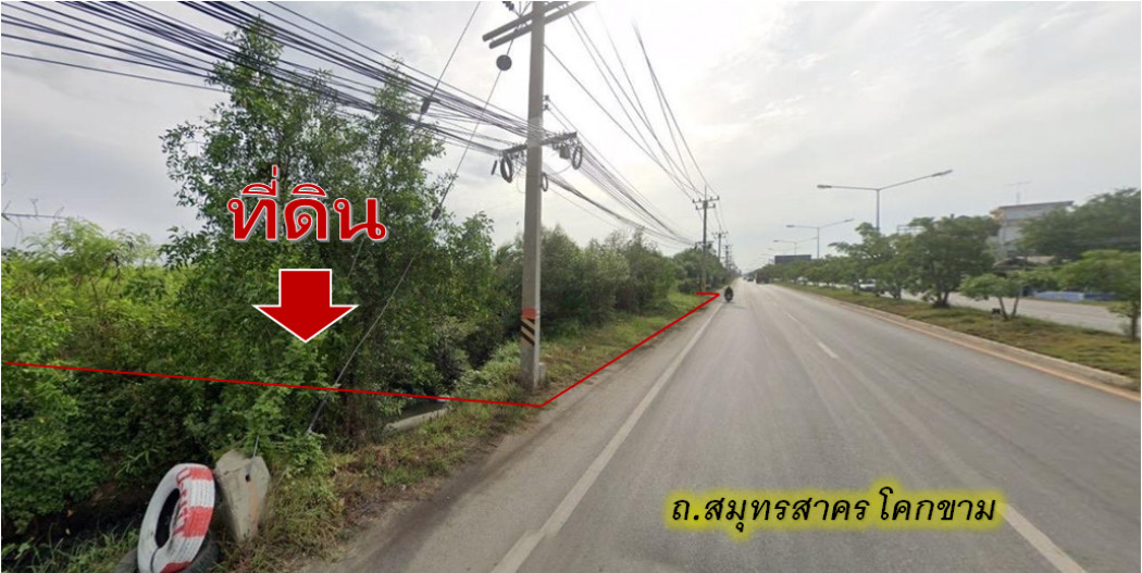 ขาย ที่ดิน สีเขียว สมุทรสาคร-โคกขาม สมุทรสาคร โคกขาม 5 ไร่ 2 งาน 4 ตรว ใกล้แม่น้ำท่าจีน – รูปที่ 3