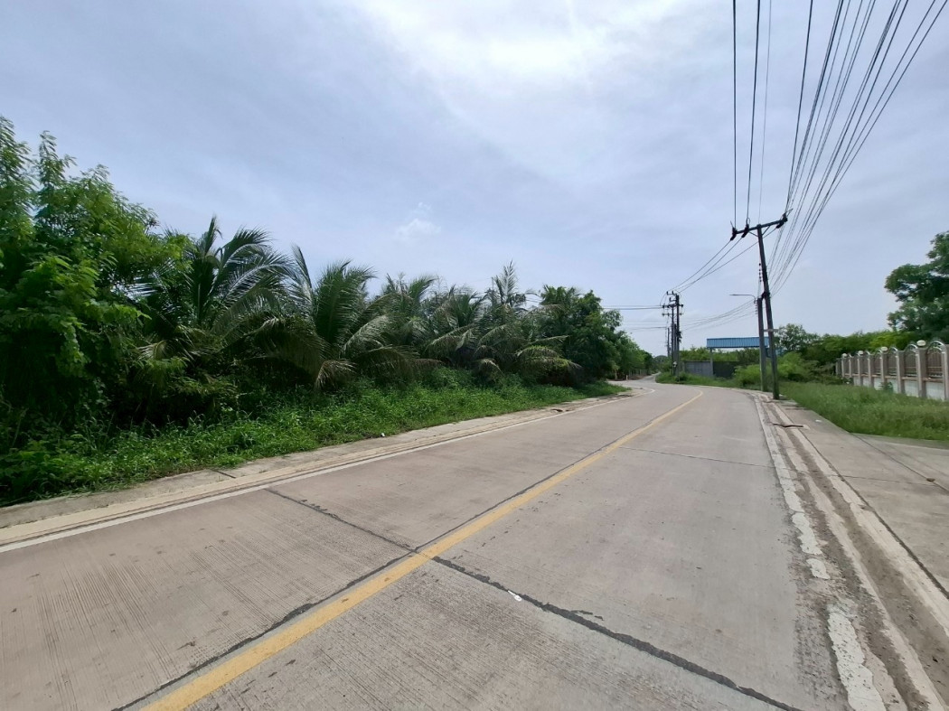 ขาย ที่ดิน 200 ตรว อนามัยงามเจริญ25  ใกล้ถ.พุทธบุชา แค่ 1.3 กม. DD – รูปที่ 2