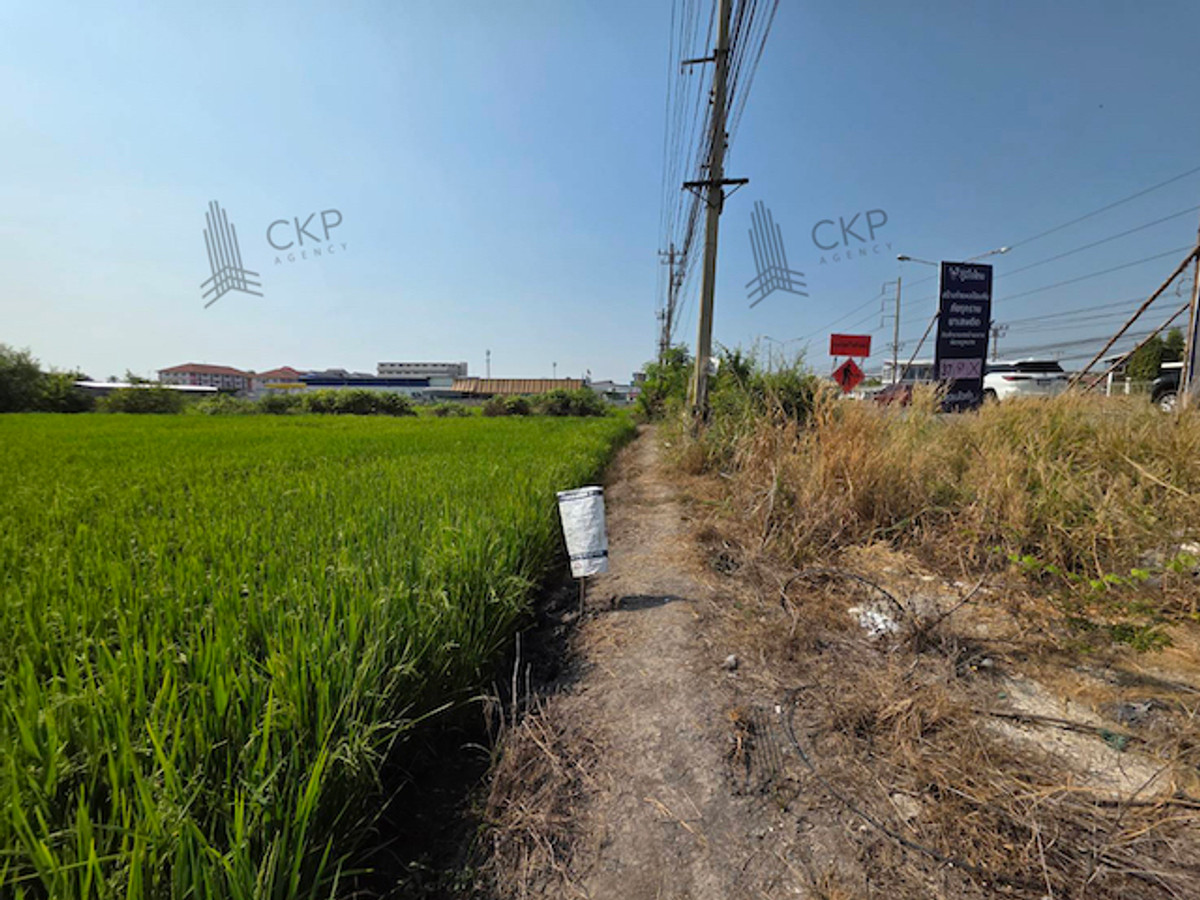 ขาย ที่ดินเปล่า ติดถนนใหญ่ ใกล้ขนส่ง เหมาะสำหรับทำสถานีพักรถ สถานีชาร์จรถไฟฟ้า คาเฟ่ ตลาด บรรยากาศริมคลอง ไม่มีปัญหาน้ำท่วม – รูปที่ 4