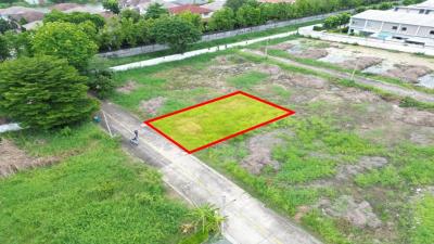 Land for sale for building houses, Barmati 60 sq.wah Chalermprakiet Calm and safe atmosphere DD