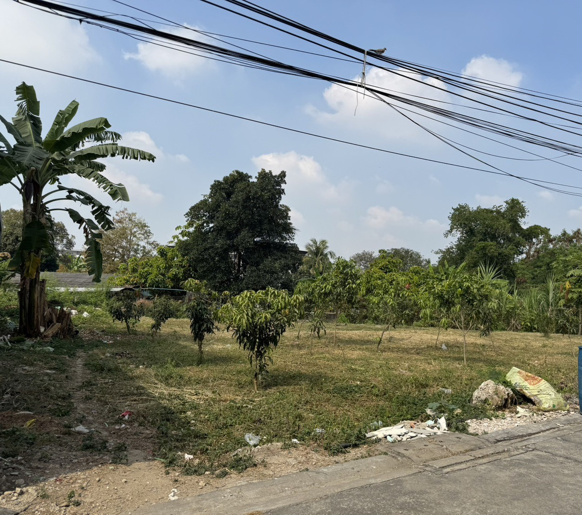 Urgent sale, land near MRT, Phasi Charoen Soi Petchkasem 58, suitable for building a good price 09-1515-9174