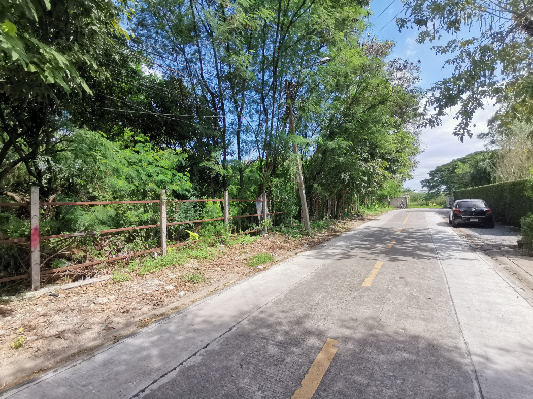 ขาย ที่ดิน เพชรเกษม 77 แยก 1 ขนาด 362 ตรว ใกล้ถ.เพชรเกษม 1 กม CC – รูปที่ 2