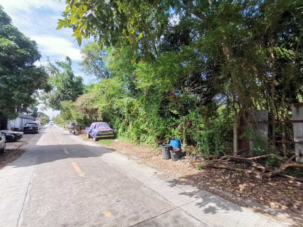 ขาย ที่ดิน เพชรเกษม 77 แยก 1 ขนาด 362 ตรว ใกล้ถ.เพชรเกษม 1 กม CC – รูปที่ 4