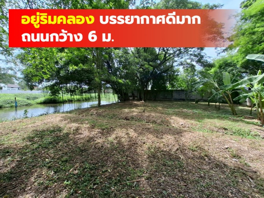 ขาย ที่ดิน หมู่บ้านเอื้อสุข พัฒนาการ 58 ขนาด 199 ตรว เงียบ สงบ ธรรมชาติสุดๆ KK