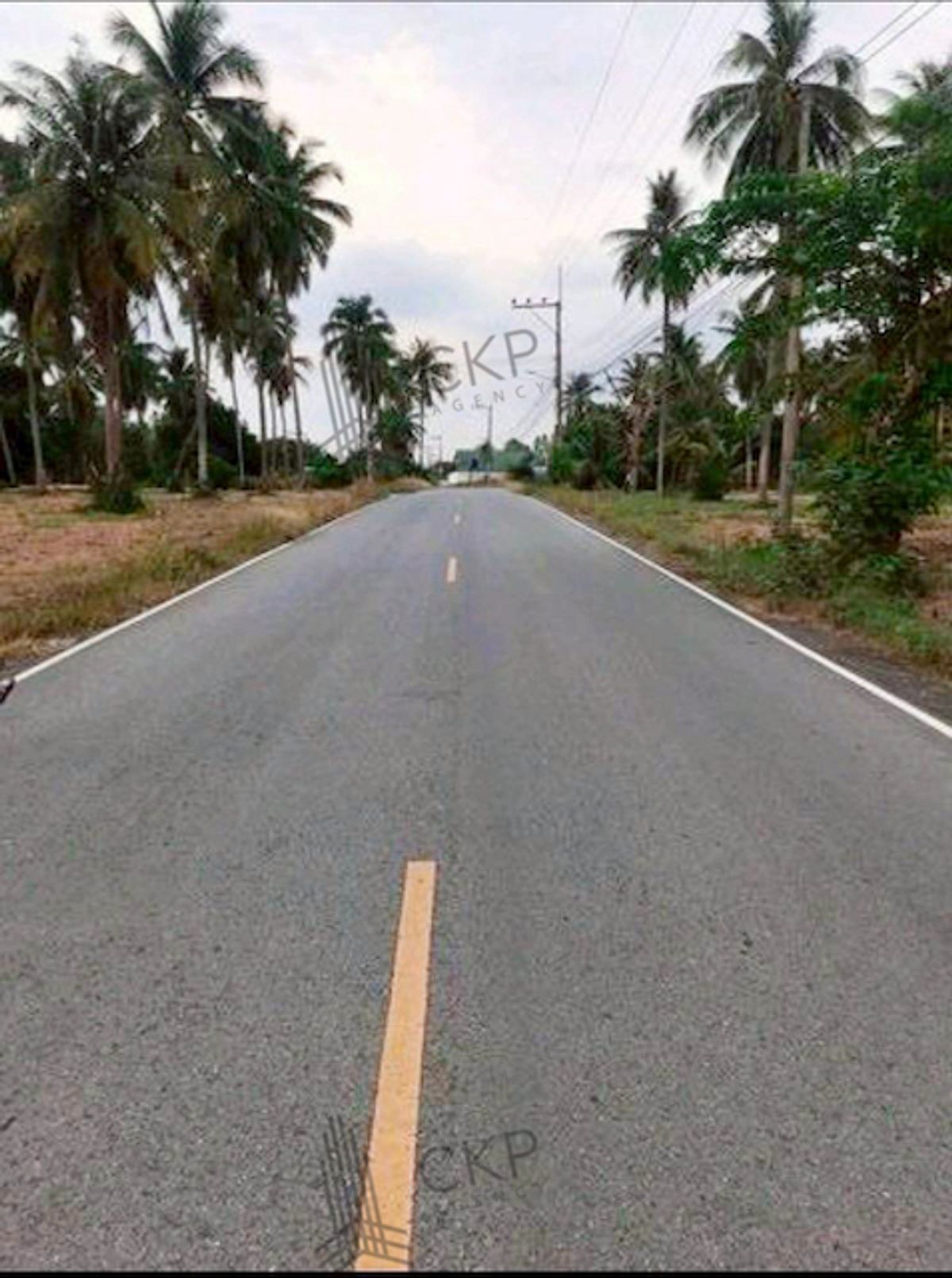 ที่ดินสวย 8 ไร่ 83 ตร.วา (แบ่งขาย) เหมาะสำหรับทำโรงแรม,รีสอร์ท,หมู่บ้าน ห่างจากถ.สุขุมวิท แค่ 5 นาที ไม่ไกลจากตัวเมืองพัทยา – รูปที่ 2