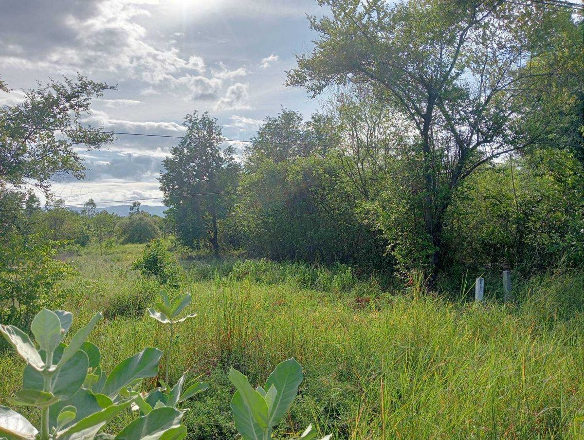 Land for Sale: 32 Rai 3 Ngan 32 sq.w. on Phahonyothin Road, near Wat Dong Lan – รูปที่ 4